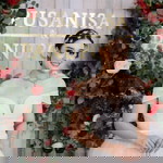 Pleng Pusanisa profile icon