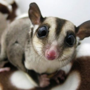 Umi Kalsom Isa profile icon