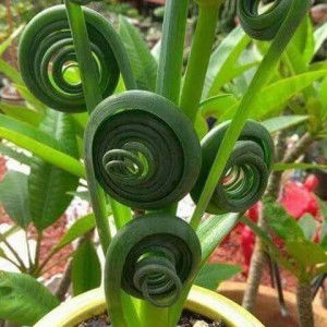 Hvt Việt Thành profile icon