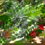 Hvt Việt Thành profile icon