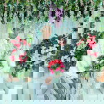 Atih Rosmawati profile icon