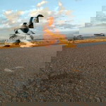 ดีต่อใจ ใครก็รัก วุ้นเส้น profile icon