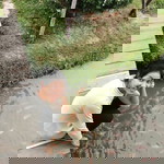 Rain Beau profile icon