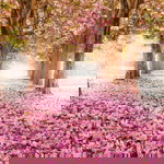 Dwika Permata profile icon