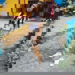 Caris Mac profile icon