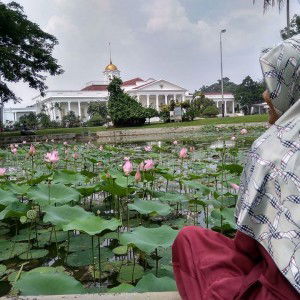 Aulià Nurul LàiLi profile icon