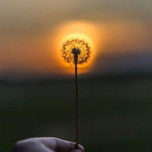 จรินทร์ทิพย์ สุวรรณพจน์ profile icon