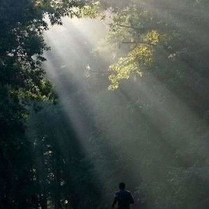 Nasik Panah profile icon