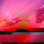 Sherlie profile icon