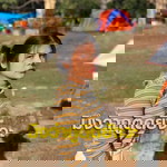 Nut't Sinita profile icon