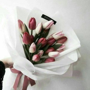 Uci Agustina profile icon