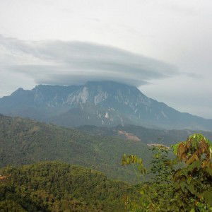 Bobina Amin profile icon