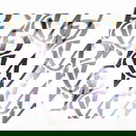 Rini Windi profile icon
