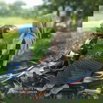 Mayyez Nineteenz profile icon