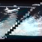 Lmae Raro profile icon