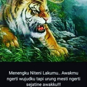 Aan Tok profile icon