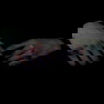 นุชจรี พลชำนาญ profile icon