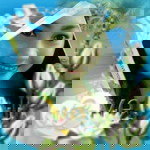 Adira Beby profile icon