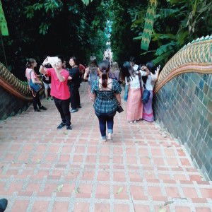 จตุมา profile icon