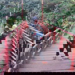 Muhammad Sultan Maulana profile icon