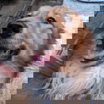 Lindsay G Viaña profile icon