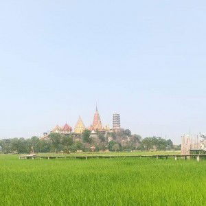 คนธรรมดาทั่วไป ธรรมดา profile icon