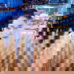 ใครใคร ก็เรียกว่ายุ้ยยุ้ย profile icon