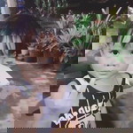 Kannapat Tatus Wannapakdee profile icon