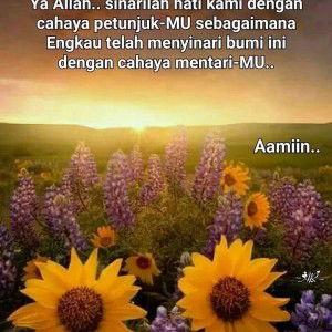 Mira Helmi Umair profile icon