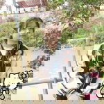 Suphasorn Phanmuang profile icon