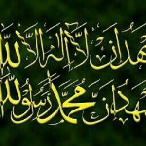 leni indriani Aripin profile icon