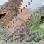 Som Som profile icon