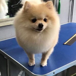 Kali PomPom profile icon