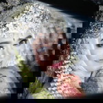 Ira Lestari profile icon