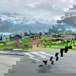 บลูเบอร์รี่ ออสก้า profile icon