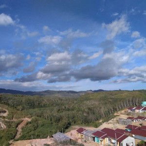 Nina Sofhia Siregar profile icon