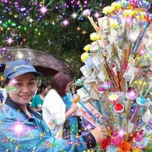 ประภาภร หมอกมีชัย profile icon