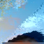 Rnysppa profile icon