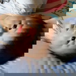 Hazwani Hassan profile icon