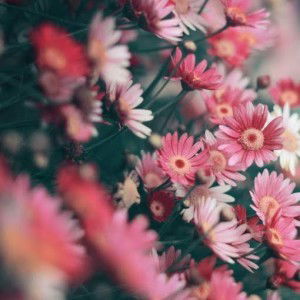 Rika Handayani Aruan profile icon