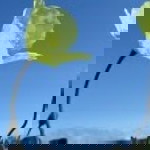 Ken ApriL profile icon