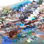 ดรีม ดาว วะ ดึง profile icon