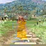 Ph Fern profile icon