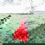 Talacious Yosogas Odibocse profile icon