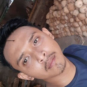 Ari Nur Triana profile icon