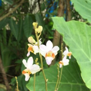 Loan Dang profile icon