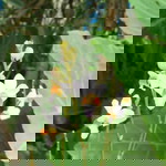 Loan Dang profile icon