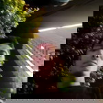 Prayoga Jr. profile icon