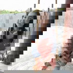 Son Sonthree profile icon