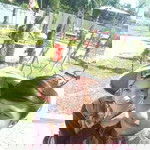 Imah Violetpurple profile icon